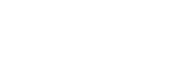 Remarkable Monkey